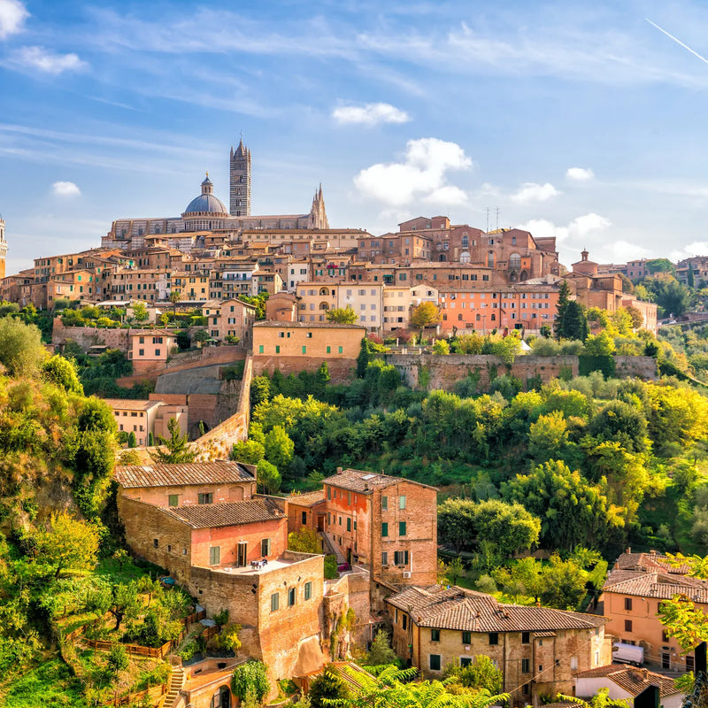 Wines Inspired by Place: How regional terroir from Tuscany to Santorini tells a story in every glass