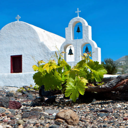 Greek Wines Collection – Taste the Heritage of the Aegean